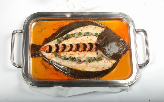 Steinbutt_feuillantiner