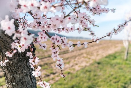 DeidesheimerHof_190322_SchwarzerHahn_GVOMEDIA-171