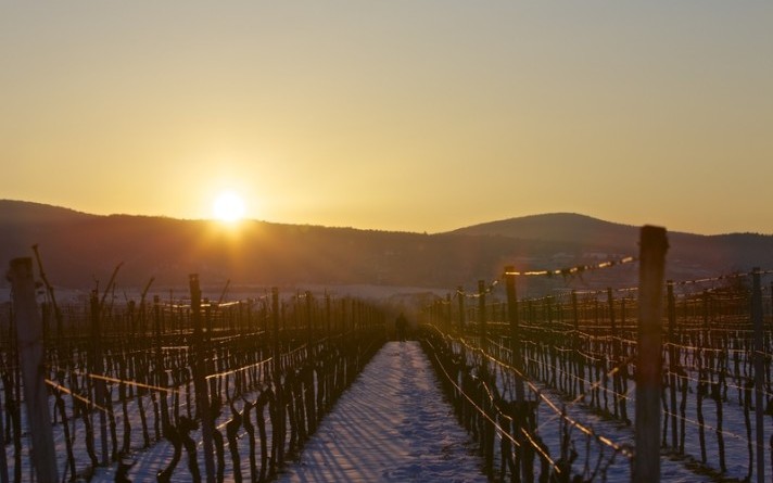 Winter Sonnenuntergang