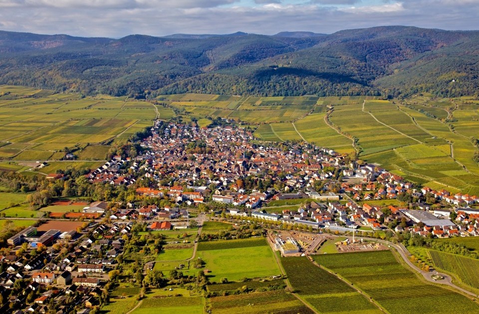 Deidesheim_Luftaufnahme