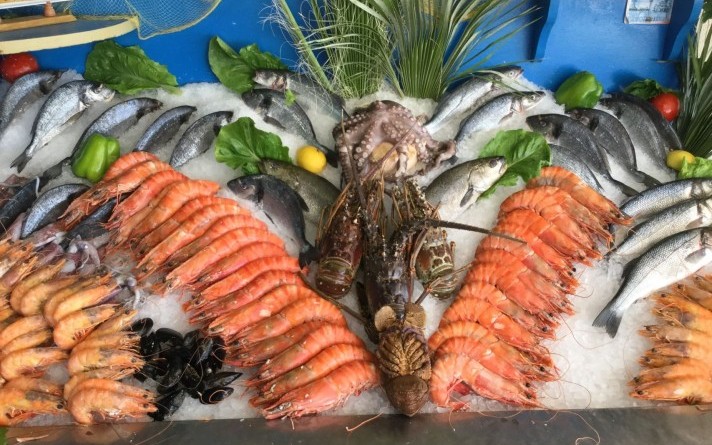 Fisch 2